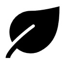 Image of a leaf